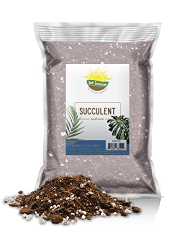 succulent mix - Succulent Potting Soil Mix (8 Quarts), Hand Blended Fast Draining Soil Potting Mix for Succulents