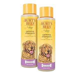 Burt’s Bees for Pets Care Plus+ Naturally Derived Hydrating Waterless Shampoo Spray with Coconut Oil – Best Dry Shampoo for Dogs – Cruelty Free, Made in USA, 12 Oz