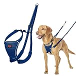 Halti No Pull Harness - Stop Your Dog Pulling on the Leash. Adjustable, Lightweight and Easy to Use. Reflective Dog Training Harness for Medium Dogs (Size M, Cobalt Blue)