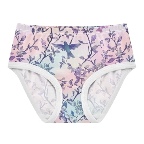ZZKKO Hummingbird Tree Branches Girls Underwear Toddler Panties for Girls Comfort Brief Size 2-8T