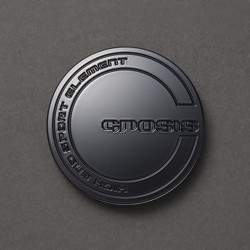 WORK ワーク GNOSISセンターキャップ 汎用 シルバー 4個セット(1