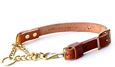 Leather Martingale Dog Collar from Bold Lead Designs (Large)