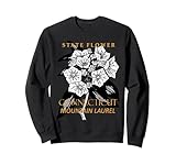 Connecticut Territory Symbols Gifts & Tees taiche