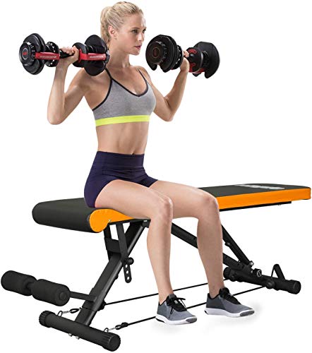 VIAGDO Adjustable Weight Bench Foldable Utility Workout Bench for Home Gym Strength Training, 8 Positions, 660 LBS Flat/Incline/Decline Sit Up Weight Bench Press for Full Body Workout Exercise