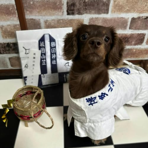 #78　わんだふるおぢさんが登場！来週に迫った「DOG EXPO FUKUOKA 2026」について！