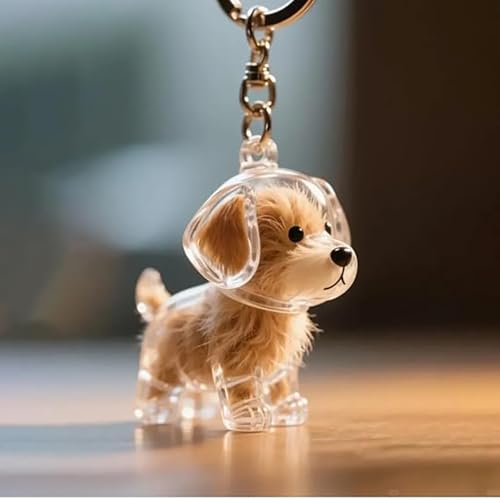 Souvenir commémoratif pour poils d'animaux, le porte-clés qui garde votre chat près de votre cœur