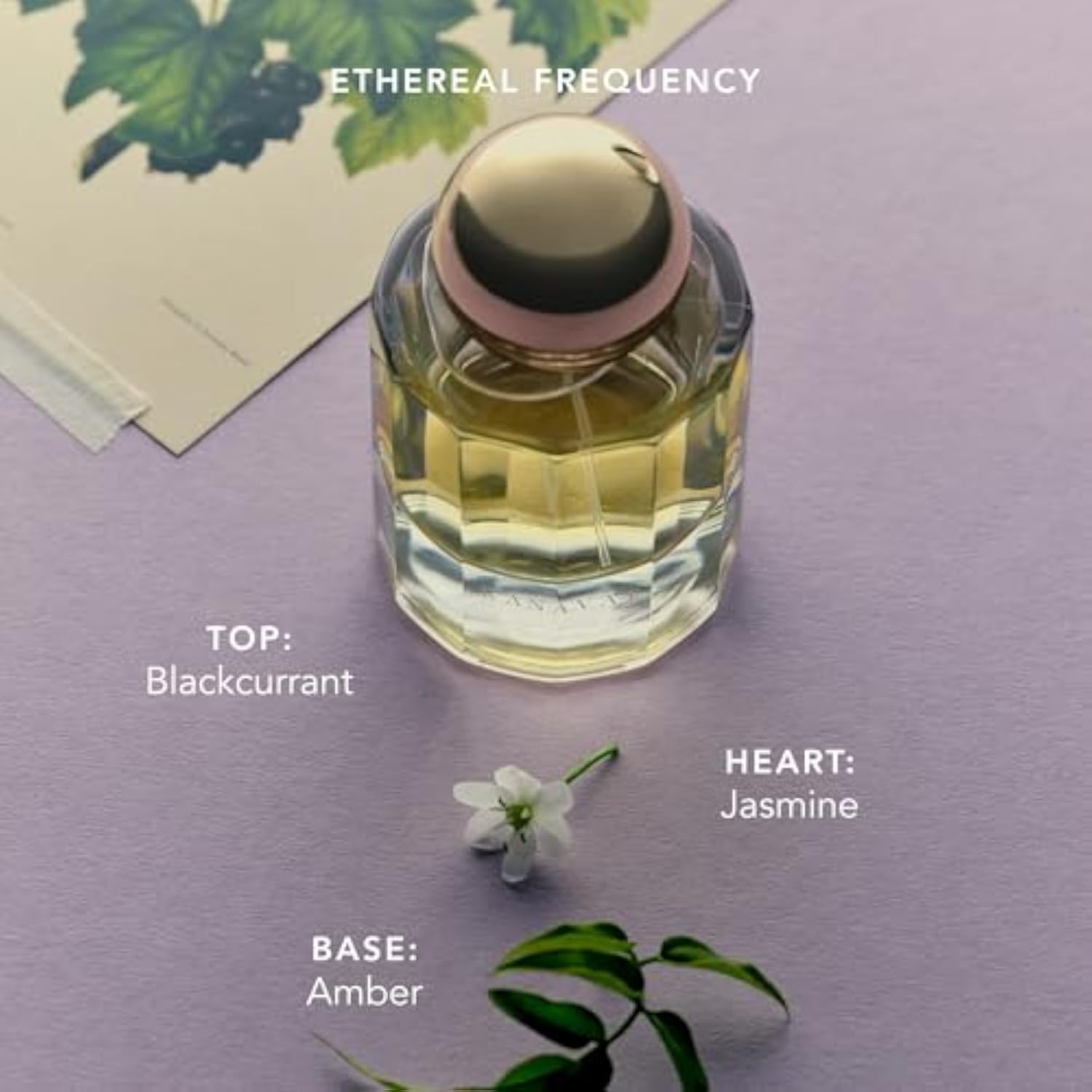 RANAVAT Ethereal Frequency Eau de Parfum - Floral Vanilla Long-Lasting Perfume with Jasmine Absolute, Blackcurrant + Warm Amber - Soft, Airy Body Mist - Vegan, No