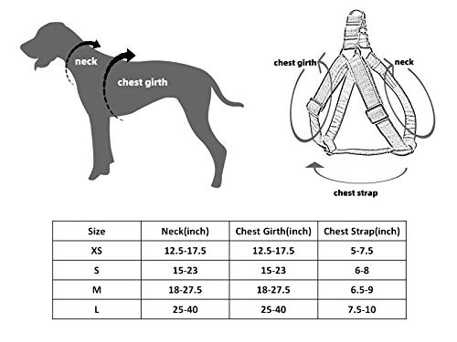 Lionet Paws Dog Harness, No-Pull Adjustable Silk Nylon Webbing Pet Harness With Metal Buckle For Small Dogs Easy Walking, White, Xs #TOP4