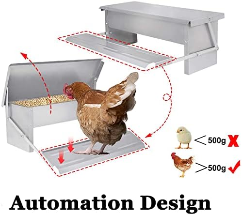 ybaymy Auto Chicken Feeder 5 Kg Capacity Poultry Feeder Aluminium Chicken Treadle Feeder Automatic Self Opening Waterproof No Spill with Weatherproof Lid for Chickens and Poultry