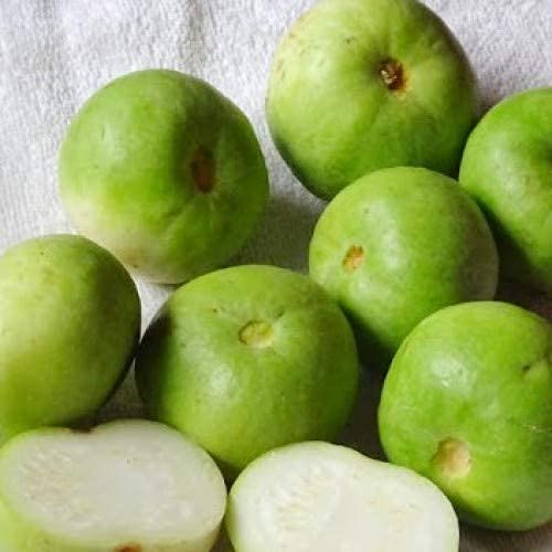 See full amazon price history chart for Live Green Vegetable Seeds | Indian Round Squash | Tinda Seeds | F1 Hybrid | Organic Seeds | For Home & Kitchen Garden | Pack of 1 pkt 25-30 Seeds each Live Green Vegetable Seeds | Indian Round Squash | Tinda Seeds | F1 Hybrid | Organic Seeds | For Home & Kitchen Garden | Pack of 1 pkt 25-30 Seeds each (B098TQHCQ7) Amazon Price History, Amazon Price Tracker