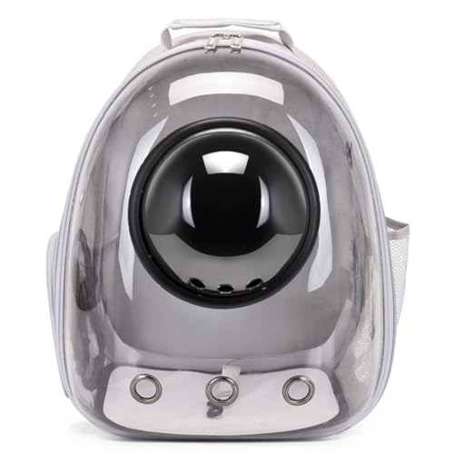 Conutoo L[obO bN LL[ bN FD JvZ y ^p hCu LsO s ʉ@ ω׏d