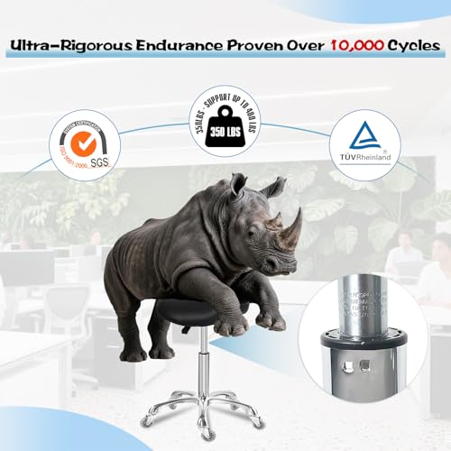 forest dental chair reviews