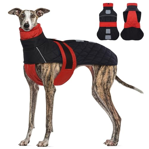 MORVIGIVE Whippet Lurcher Dog Winter Coat - Red, Medium - Greyhound Waterproof Dog Coat with Built...
