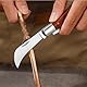 Okuliermesser Gartenmesser: Klappbar Okuliermesser, Gesamtlänge: 16,5 cm, Veredelungsmesser mit 2 Klingen, Multifunktionale Gartenmesser zum Pfropfen,Beschneiden, Reparieren von Unkrautbüschen