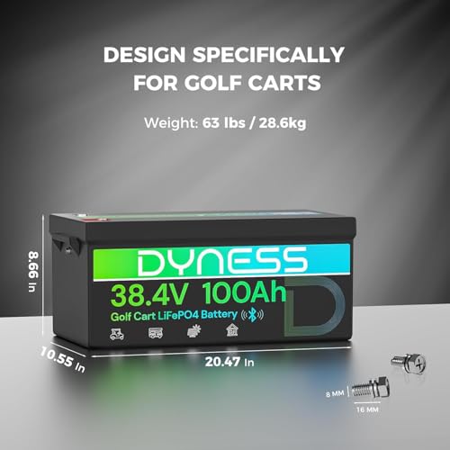 Dyness 36V 100Ah with LCD