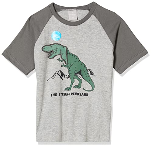 Hering Infantil, Camiseta Manga Curta Em Malha Meninos, Cinza (escuro), 10