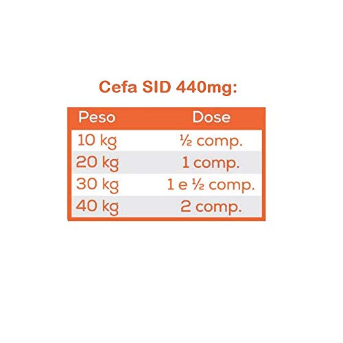Antimicrobiano Vansil Cefa SID 440mg para Cães e Gatos - 10 Comprimidos