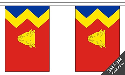 Flagtex Birmingham Fabric Bunting – 3m with 10 Flags – Premium Indoor & Outdoor Decoration — image 1