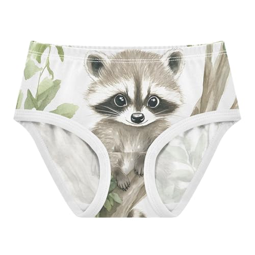 Cute Raccoon Animal Toddler Girls's Underwear 2T 202c0311
