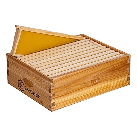 BeeCastle 10 Frame Medium Super Bee Hive Box, Langstroth Honey Bee Hive Dipped in 100% Beeswax Include Beehive Frames and Wax Foundations (Unassembled) Cover