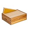 BeeCastle 10 Frame Medium Super Bee Hive Box, Langstroth Honey Bee Hive Dipped in 100% Beeswax Include Beehive Frames and Wax Foundations (Unassembled)