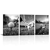 Duobaorom Golf Course Picture Wall Decor 3 Pieces Wall Art Black And White Spots Golfing Sports Artwork 12'X16'