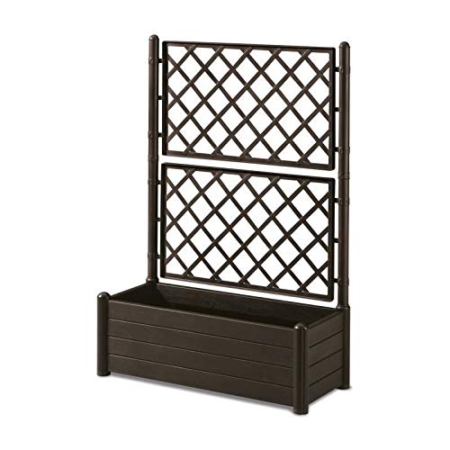 HERSTERA 10014400 Pflanzgefäss con Rankgitter, Dunkelbraun, 100 x 43 x 142 cm