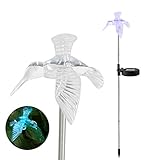 EZiGarden Solar Powered Outdoor Garden LED Light Color Charging Figurine Stake Landscape Light Waterproof Hummingbird Lawn Lamp for Sidewalk Terrace Pathway Walkway Driveway Yard & Lawn Decorations