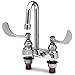 T&S Brass B-0892-CR-WS Medical Faucet, Deck Mount, Rigid Gooseneck, 1.5 GPM Aerator, Wrist Handles, Ceramas