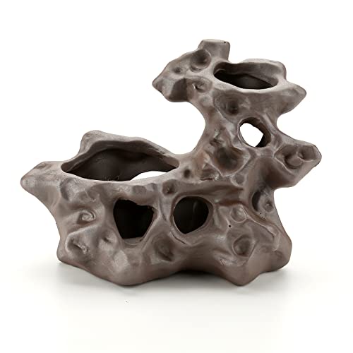 LYL LEYOULAND Aquariumhöhle, Buntbarsche, Betta-Höhle für Fischversteck (Felsenschutz) Cover