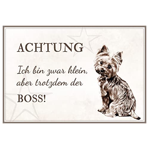 ZAUBERBILD Hundeschild Warnung | Yorkshire Terrier | Warnschild Vorsicht Hund | 25x17cm Alu