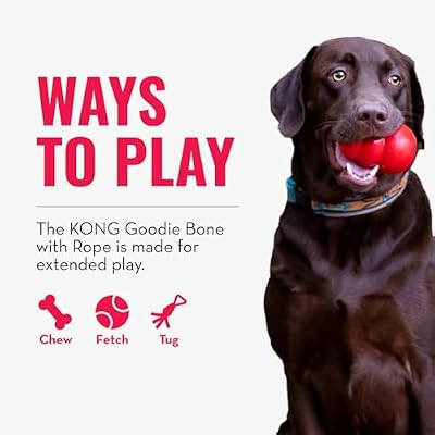 KONG Puppy Goodie Bone with Rope - Natural Rubber Bone with Cotton Rope - Teeth Cleaning Chew Toy for Growing Puppies - for XS Puppies - Pink