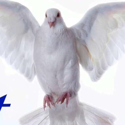 Episode 303: Homily - 6th Sunday of Easter - Always Be Ready