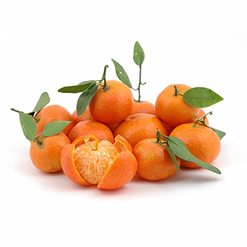 Mandarin Egypt 1kg