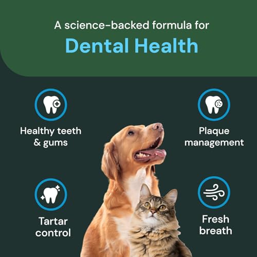 Image of VETRISCIENCE Dental Care Powder - Dental Supplement Powder for Dogs & Cats - Supports Breath Freshening - Healthy Teeth & Gums - Easy-to-Use Oral Hygiene for Pets - 16 oz