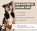 Warnick´s Tierfutterservice - Hundesnack – Hühnerfüße getrocknet 1 kg – naturbelassener Kausnack für Hunde – Zahnpflege & Belohnung – 100 % Huhn – ohne Zusatzstoffe – schonend getrocknet