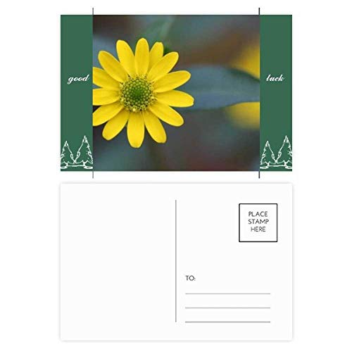 Carte postale fleur jaune souvenir à joindre à vos cadeaux d'anniversaire