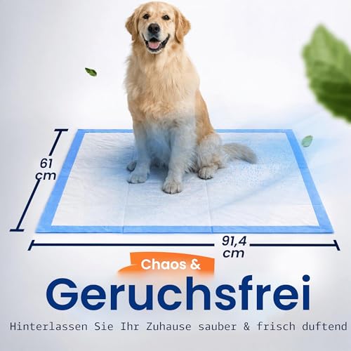 Healqu Einweg Inkontinenzunterlage für Betten - 60 x 90cm, 50 Stück - Inkontinenz Bettunterlage Krankenunterlage für Erwachsene, Senioren oder Kinder – groß & super saugfähig