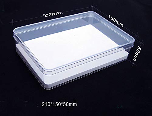 Bug Display Box,Insect Display Case with Pinning Board,8.2 x 2 x 5.9 Inches - Thumbnail 2