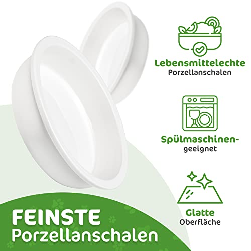 giriniwee Qualitäts Futter Bar mit Zwei super flachen 250ml Porzellannäpfen im Bambusgestell, erhöhte Doppelschale für Katzen, Kitten, kleine, Mini oder Zwerghunde, Toy Dogs & andere kleine Haustiere
