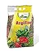 Argiflor Argilla Espansa a Ph Neutro 5 Lt