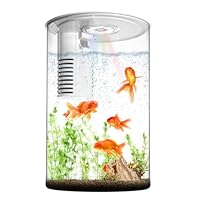 Fish Tank Nachtlicht, Zingbabu 3 Gallonen Aquarium Starter Kit mit vollem Spektrum Aquarium Licht und Filter für kleine Fische Betta Kinderzimmer Desktop Dekor Weiß