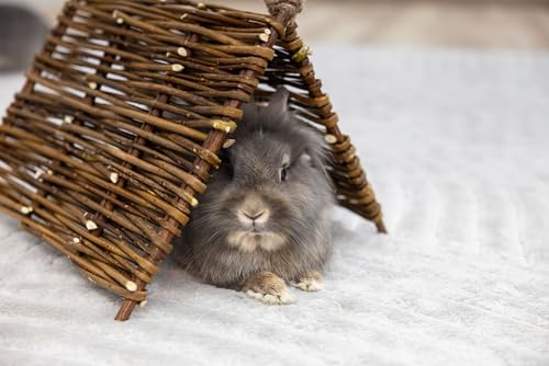 Kerbl Pet Tipi-Zelt Nature, 37x27 cm, Kaninchenzelt, Nagerzelt Holz, Kaninchen, Nagetiere