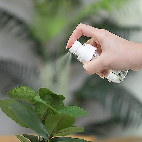 Image of RELANOR Small Spray Bottle - PETG Travel Mist Spray Bottles - Leak Proof, Mini, 60ml (Pack 4) for Face & Hair Toners