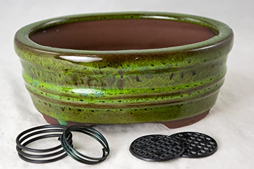 Oval Glazed Cactus & Succulent Planter, Bonsai Pot with Mesh & Wire 6'x 4.5'x 2.5' - Moss Green