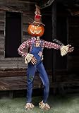 Morris Costumes Animated Whimsical Pumpkin Scarecrow Halloween Decoration Standard