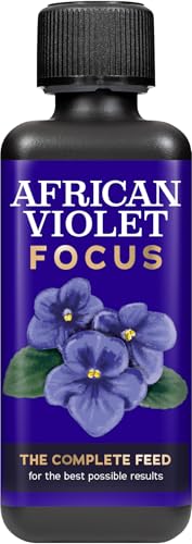 African Violet Focus 300ml