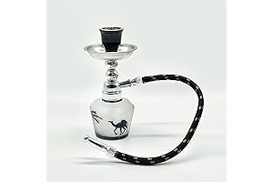 Mini Glass Hookah, Premium Quality Waterpipe for Smoking Cannabis