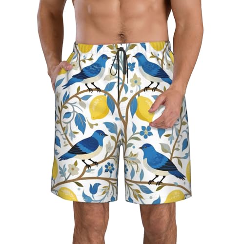 Cartoon Men's Swim Trunks Men's Board Shorts Beach Swimsuits
