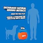 Chuckit! Big Air Fetch Ball Dog Toy (14 Inch) Herding Instincts Dog Toy, for Interactive, Non-Chewing Activities, for All Breeds, Inflating Pump Included - Image 4